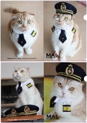 MAL���ꥢ�ե�����