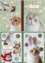 �ߥߥ��졣���ꥢ�ե����륻�å�