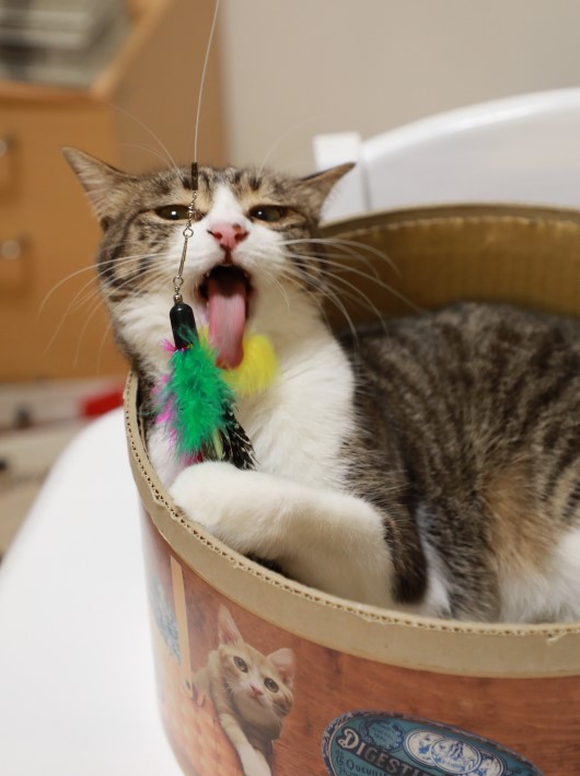 °¤¯¤Ê¤¤¤«¤â¡© °¤¯¤Ê¤¤¤«¤â¡©