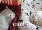 ���ޤ췻�參������2012