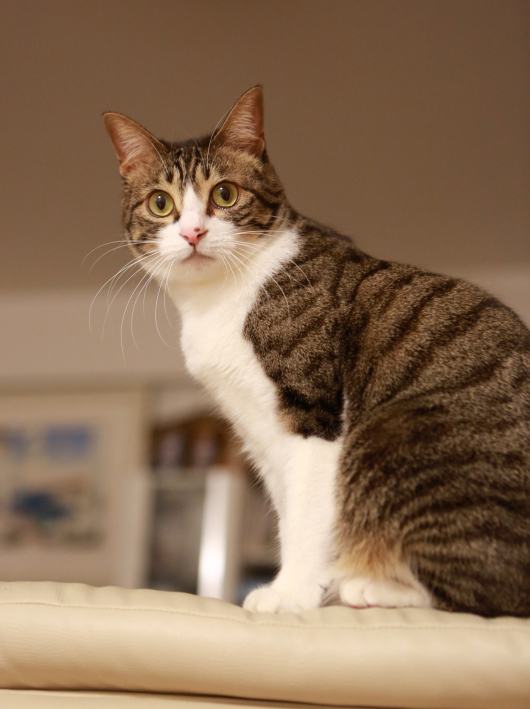 じーっ。 じーっ。