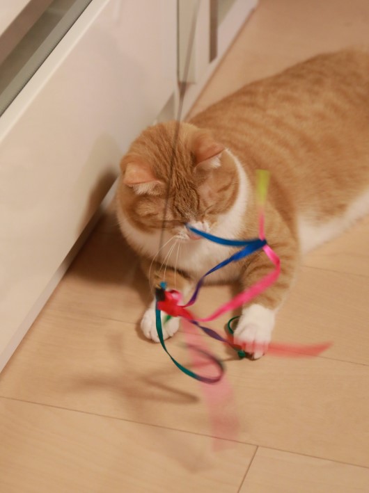 うぬぬぬ。 うぬぬぬ。