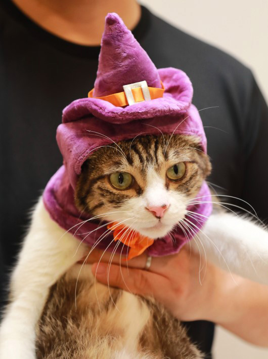 なんでこうなるの? なんでこうなるの?