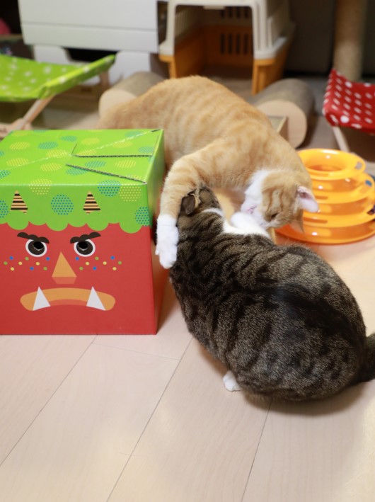 がばっ! がばっ!