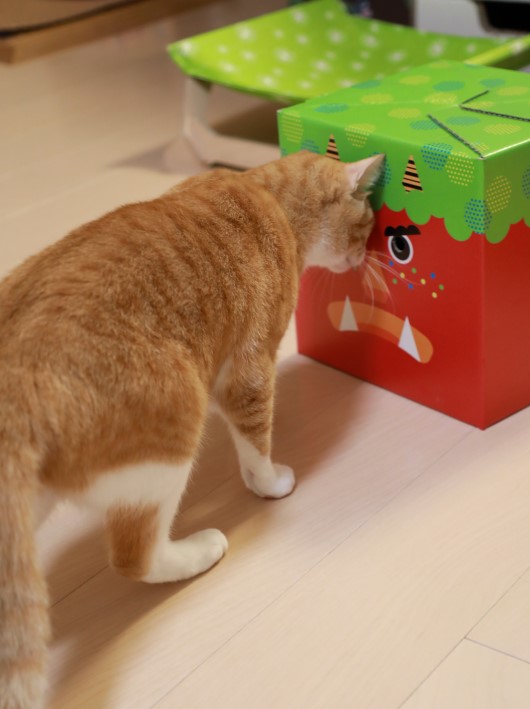 よいしょ、よいしょ。 よいしょ、よいしょ。