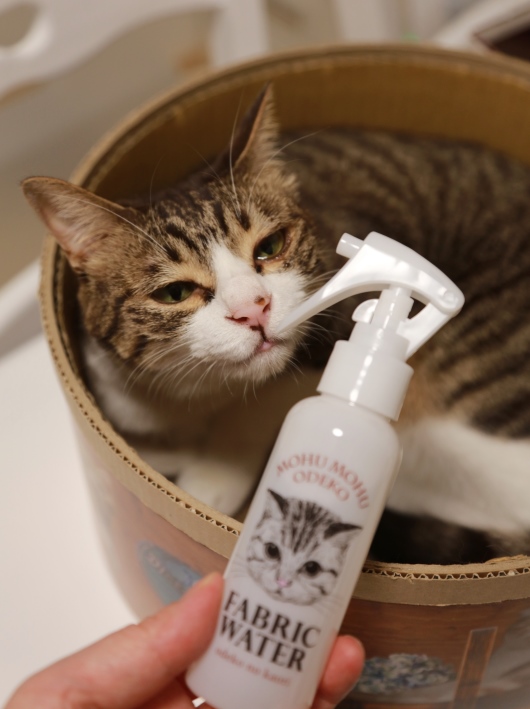 すんすんすん。 すんすんすん。