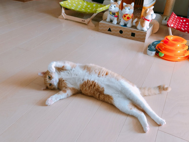 ¤Ò¤ó¤ä¤ê¤¹¤ë¡Á¡£ ¤Ò¤ó¤ä¤ê¤¹¤ë¡Á¡£