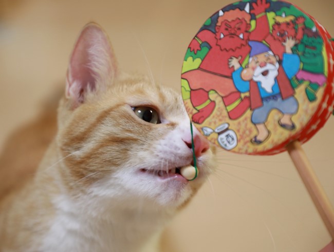 この玉もらいたい。 この玉もらいたい。