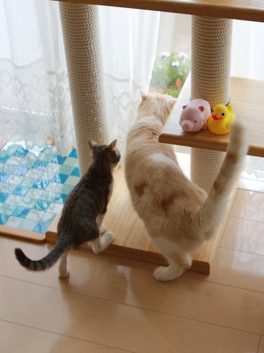 Éô³è¤Î¤Õ¤¿¤ê¡£ Éô³è¤Î¤Õ¤¿¤ê¡£