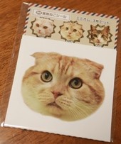 �ܼۤ�ʪ�祷���륻�å�