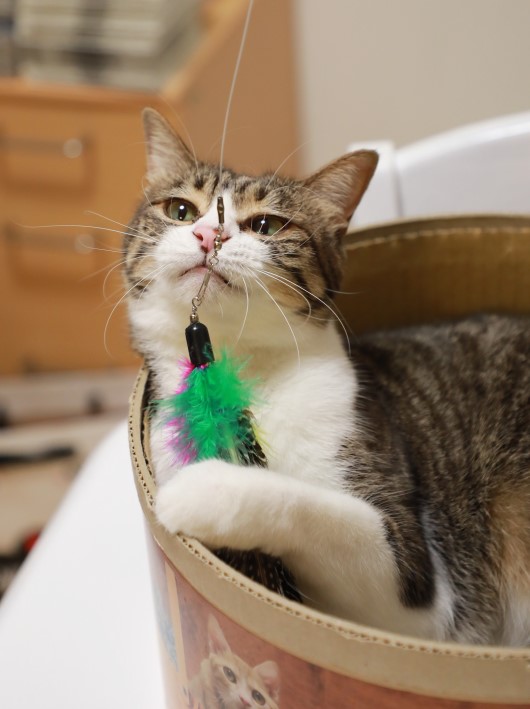 ¤½¤ó¤Ê¤Ë¡© ¤½¤ó¤Ê¤Ë¡©