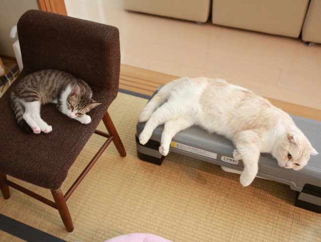 »Õ¾¢¤¬°Ø»Ò¤òÁÀ¤Ã¤Æ¤ë¡© »Õ¾¢¤¬°Ø»Ò¤òÁÀ¤Ã¤Æ¤ë¡©