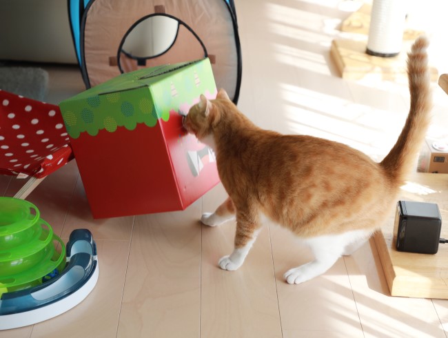 えっほ、えっほ。