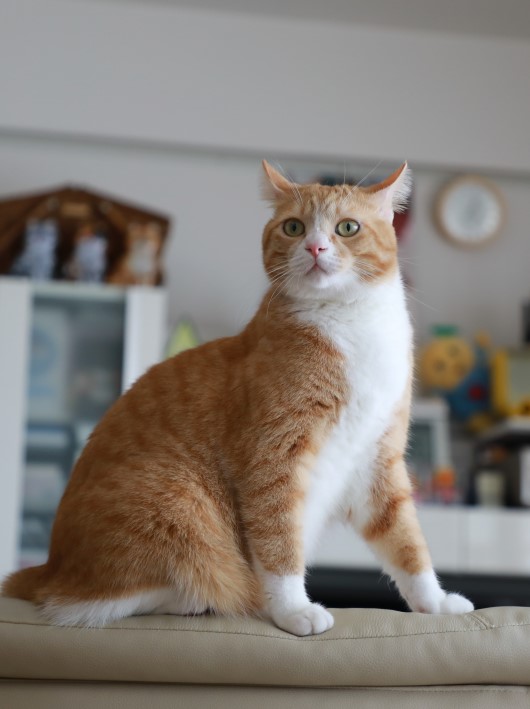 ƨ¤²Àڤä¿¡ª¡© ƨ¤²Àڤä¿¡ª¡©