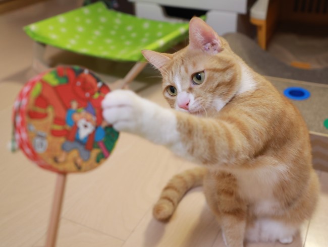 ボク、これもらいたい！