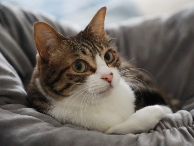 ¤ª¤Ï¤è¡¼¡£ ¤ª¤Ï¤è¡¼¡£