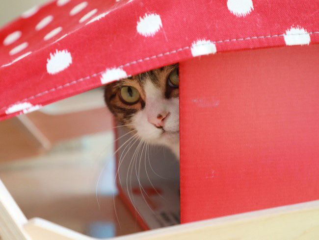 ここ、いいじゃん♪ ここ、いいじゃん♪