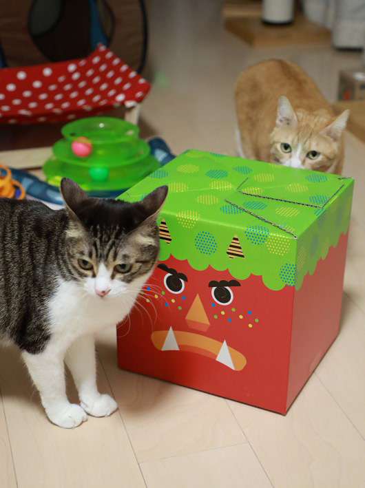 早く開けてー! 早く開けてー!