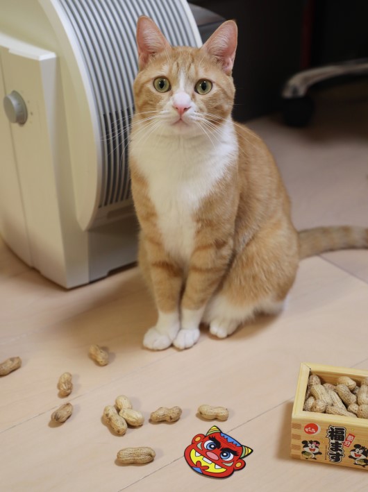 福招き、完了！