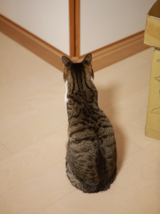 どうしてるかな。 どうしてるかな。