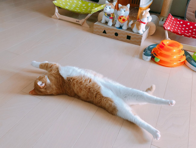 ¤Î¤Ó¡¼¤Ã¤È¡£ ¤Î¤Ó¡¼¤Ã¤È¡£