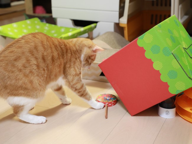 やったー! やったー!