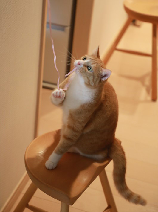 ¤Õ¤Õ¤Õ¢ö ¤Õ¤Õ¤Õ¢ö