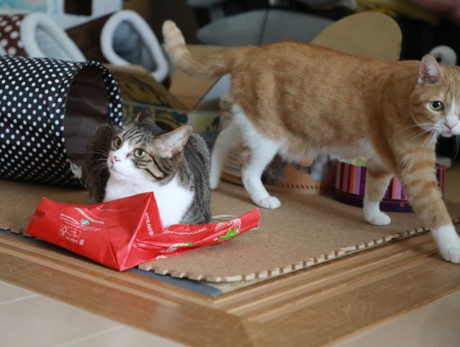 ����������