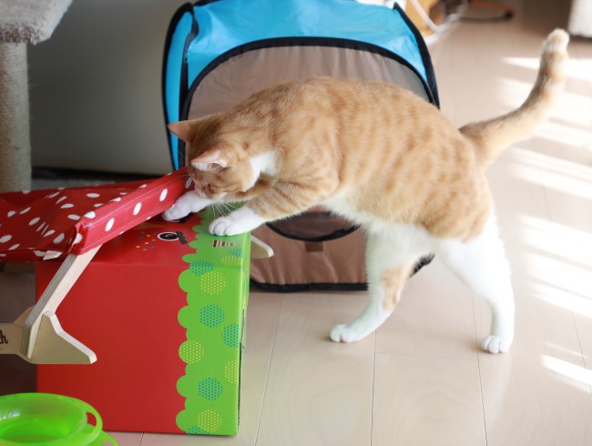 ふむふむ、なるほど。