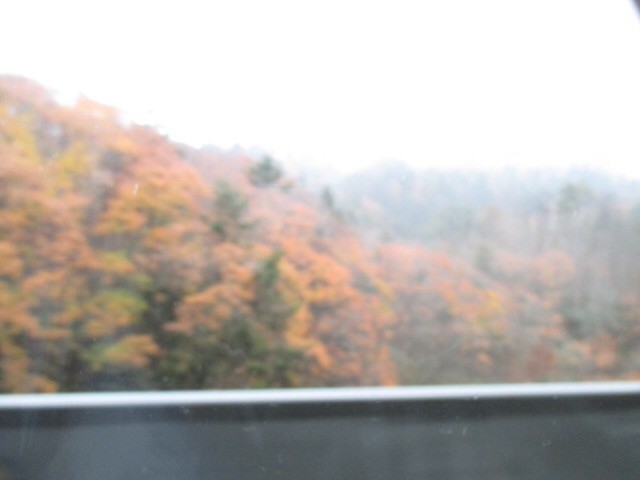 f:id:sky_3948:20151128133953j:image f:id:sky_3948:20151128133953j:image