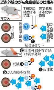 がん治療