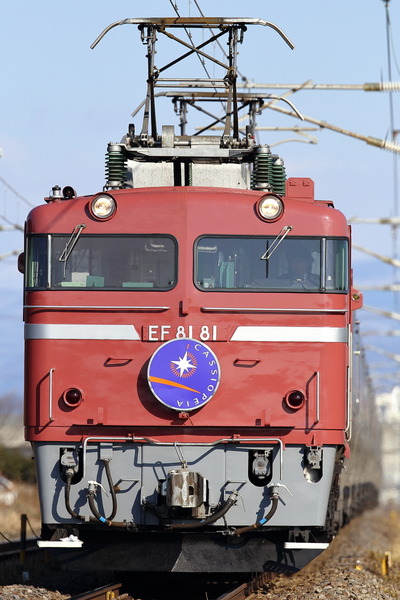 EF81-81 カシ面縦