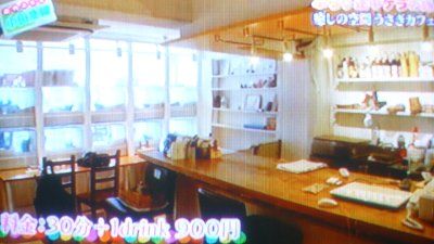 usagi-cafe (9)