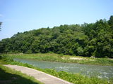 P1030391