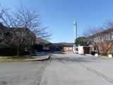 IMGP3682