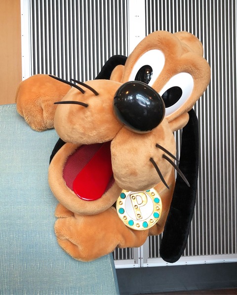 3CE62129-55C5-4B93-B3C2-0E620E81E50F