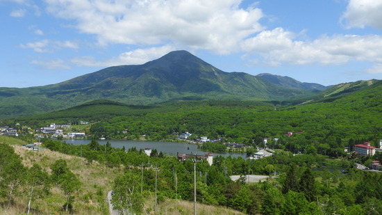 DSCN4508