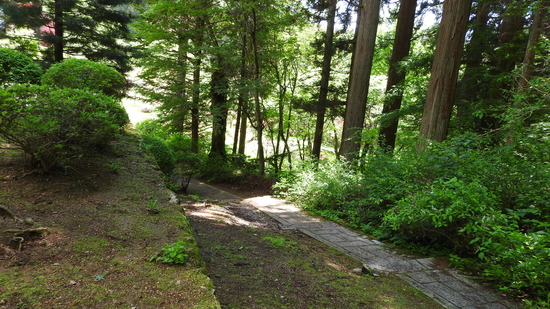 DSCN2811