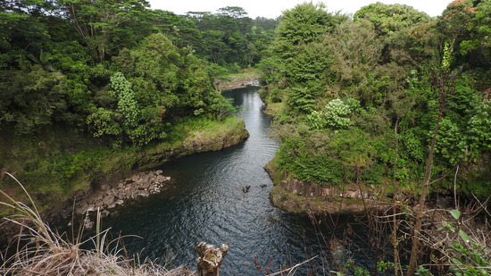 DSCN1885