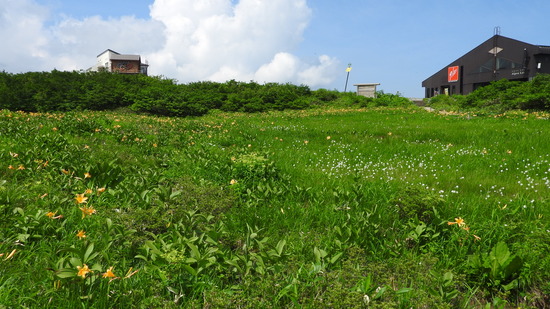 DSCN7633