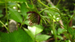 DSCN8332