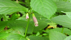 DSCN9385