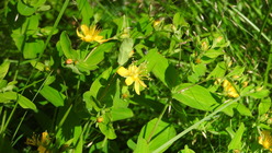 DSCN9027