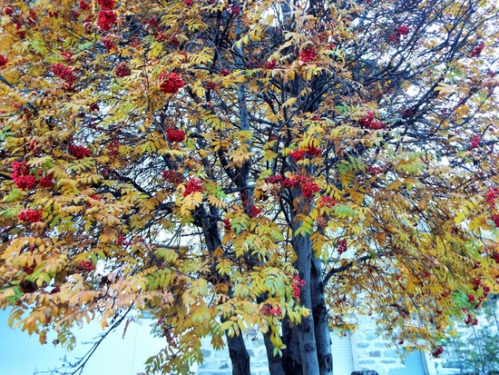 DSCF1385 (2)