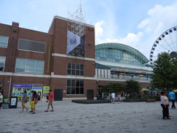 DSCN2436
