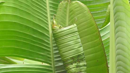 DSCN8552