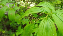 DSCN9197