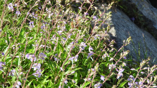 DSCN6772