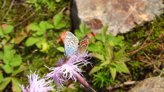 DSCN8172