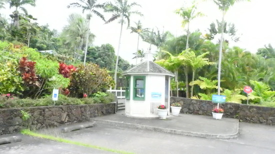 DSCN8540
